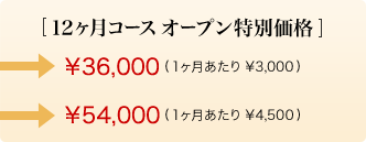 12R[X I[vʉi@p\R\36,000 (1\3,000) @菑\54,000 (1\4,500) 