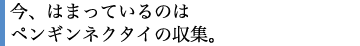 ネクタイの収集
