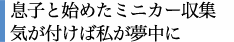息子と始めたミニカー収集気が付けば私が夢中に