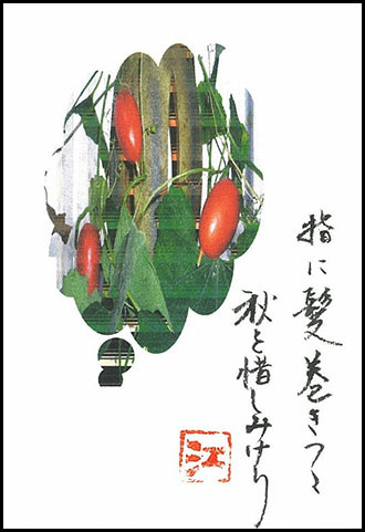 仕上がり新
